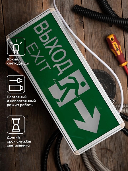 Светильник аварийно-эвакуационного освещения EXIT-201 двухсторонний LED EKF Basic