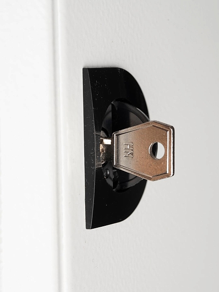 Ключ для пластикового замка к ЩРН (арт. lock-shrn-ip31) EKF PROxima