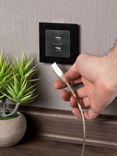 Стокгольм Механизм Розетки USB 2-местной 2,1А винтовые клеммы черный EKF