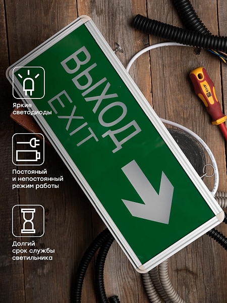 Светильник аварийно-эвакуационного освещения EXIT-202 двухсторонний LED EKF Basic