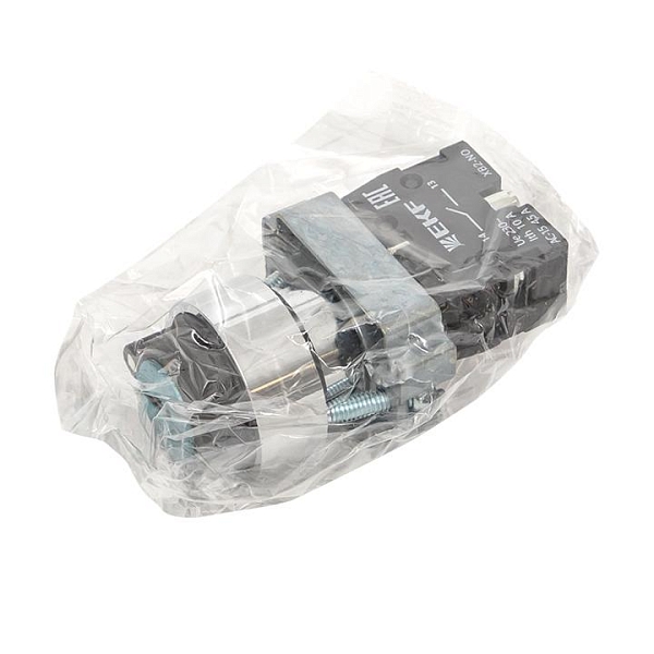 Переключатель BG61 2P с замком возвратный NO EKF PROxima